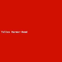 Tolles Marmor-Hemd
