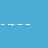 Mittelm&auml;&szlig;iger Seide-Lappen