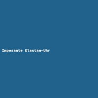 Imposante Elastan-Uhr